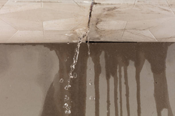 Professional Water Damage Repair technician working in Northport, WA